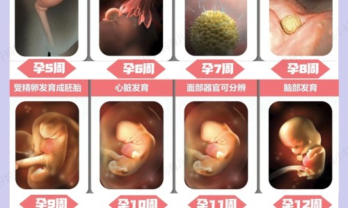 芽孢杆菌对皮肤有害吗-芽孢杆菌祛痘吗有效果吗-芽孢杆菌祛痘吗有效果吗,中国芽孢杆菌在面膜的作用与功效网站